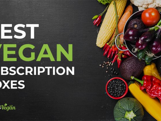 vegan subscription boxes banner