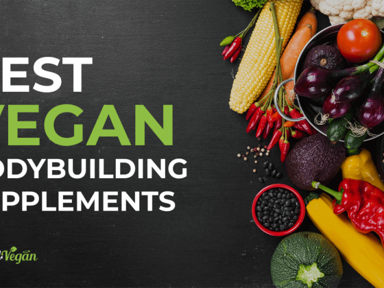 best vegan bodybuilding supplements