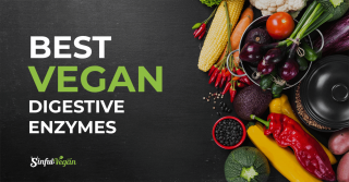 enzymes digestive