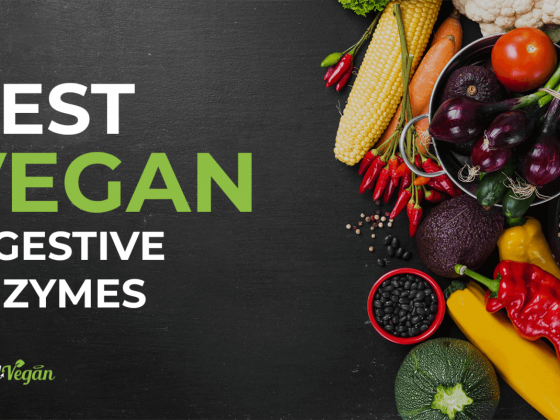best vegan digestive enzyme
