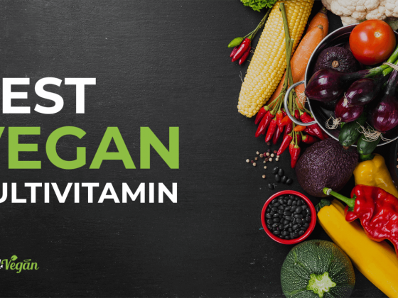 best vegan multivitamin