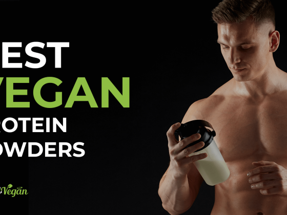 vegan protein powder